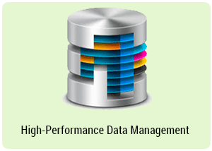 High Performance Database Management